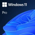 Microsoft Windows 11 Pro 64 Bit - 1 PC - ESD-DownloadESD