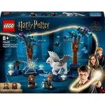 LEGO Harry Potter Der verbotene Wald: Magische Wesen 76432