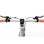 Hybrid E-Bike 250W Motor App 80km silber glanz