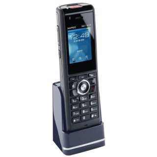 DECT 65 IP