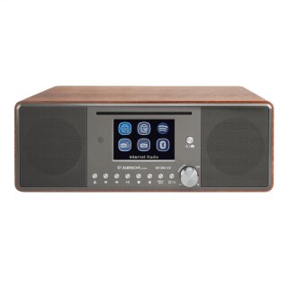 DR 895 CD Hybridradio holz