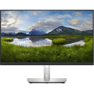 60,45cm/23,8 (2560x1440) DELL-P2423D 16:9 8ms IPS DisplayPort HDMI USB VESA Pivot Black/Silver