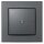 Homematic IP Wandtaster - 2-fach, anthrazit
