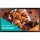 Samsung Smart Signage QB24C-T 60.00cm(24") Cap.Touch