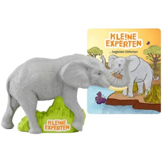 KLE!NE EXPERTEN begleiten Elefanten