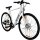Gravel E-Bike 250W Motor App 70km weiß glanz