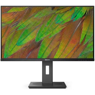 Philips 80.0cm (31.5") 32B1N3800 16:09 HDMI+DP+USB black
