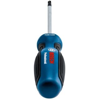 Bosch Schraubendreher TX 25 x 100