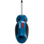 Bosch Schraubendreher TX 25 x 100