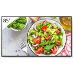 FW-85BZ35L 85INCH PRO