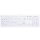 CHERRY ACTIVE KEY MTA AK-C8100 Corded DE-Layout weiß IP68