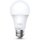 TP-Link LED-Lampe TapoL520E Smart Wi-Fi Light Bulb. Daylight