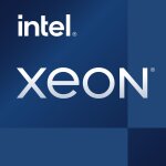 Xeon E-2324G 3.1GHz LGA 1200 8M Cache Tray CPU