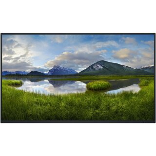 68.6cm/27" (1920x1080) Dell P2725H Without Stand 16:9 FHD IPS 5ms 100Hz HDMI DP VGA USB-C Black/Silver
