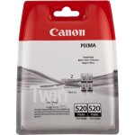 Canon PGI-520BK schwarz Twin Pack