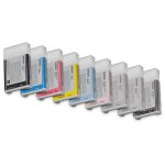 Epson C13T603700 light black HC
