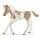 Schleich Horse Club 13886 Paint Horse Fohlen