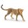 Schleich Wild Life Gepardin