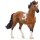 Schleich Horse Club 13978 Mangalarga Marchador Hengst