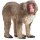 Schleich Wild Life 14871 Japanmakak