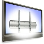 Ergotron WM Starre Wandhalterung