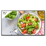 FW-75BZ35L 75INCH PRO