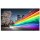 PHILIPS B-Line 75BFL2214 18/7/UHD/380cd DVB-C/T2 (Speditionsversand)