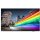 PHILIPS B-Line 43BFL2214 18/7/UHD/350cd DVB-C/T2 (Speditionsversand)