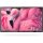 PHILIPS Hotel TV 43HFL4014/12 108.0cm(43") PrimeSuite