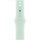 APPLE 40mm Aquamarine Sport Band - M/L
