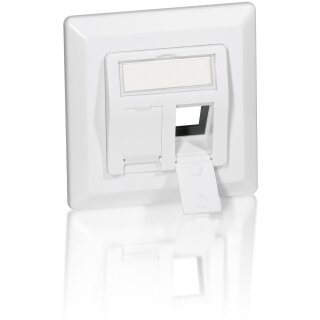 Equip Unterputzdose +Frontplatte 2 Keystone 45° RAL 9010 Polybeutel