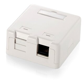 Equip Aufputzdose 2x Keystone Jack mit Abdeckung Premium ws
