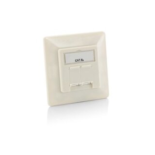 Equip Aufputz Frontplatte Cat6A 2x RJ45 RAL 9010 Reinweiß