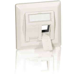 Equip Unterputzdose +Frontplatte 2 Keystone 45° RAL 1013 Polybeutel