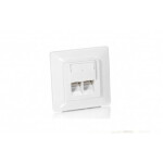 Equip Unterputzdose +Frontplatte 2xRJ45 Cat5e 45° RAL...