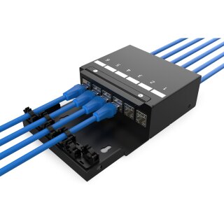 DIGITUS Konsolidierungspunkt-Box 6Ports Keystone Module
