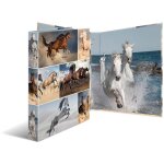 HERMA Ringbuch A4 Pferde 2D