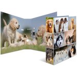HERMA Ordner A4 Hunde