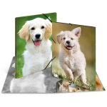 HERMA Sammelmappe A3 Hunde Polypropylen