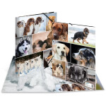 HERMA Sammelmappe A4 Hunde Pappe