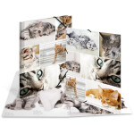 HERMA Sammelmappe A4 Katzen Pappe
