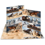 HERMA Sammelmappe A3 Pferde Pappe