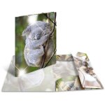 HERMA Sammelmappe A4 Glossy Koala Polypropylen