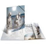 HERMA Sammelmappe A4 Glossy Pferd Polypropylen