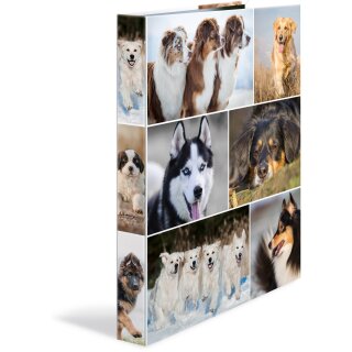 HERMA Ringbuch A4 Hunde 4D