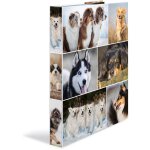 HERMA Ringbuch A4 Hunde 4D