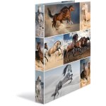 HERMA Ringbuch A4 Pferde 4D