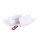 DURABLE Namensschild m Magnet 40x75mm 25erPck transp