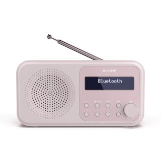DR-P420 DAB+/BT Radio pink