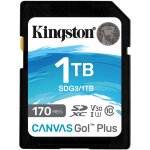 CARD Card 1TB Kingston XC Canvas Go Plus C10 retail